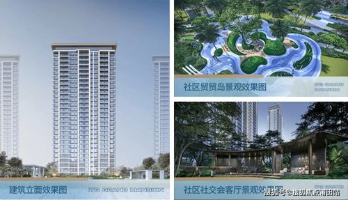 福州國貿(mào)江嶼原今日新聞 真實報道 火遍整個福州