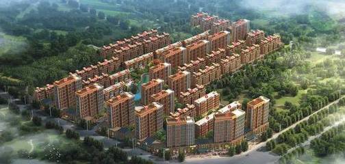 身家過7億,這個蒼南女子不得了:上市公司女老總