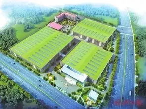 三甲醫院 國際學校 福州這個區域越來越火 今年已完成項目投資37億元